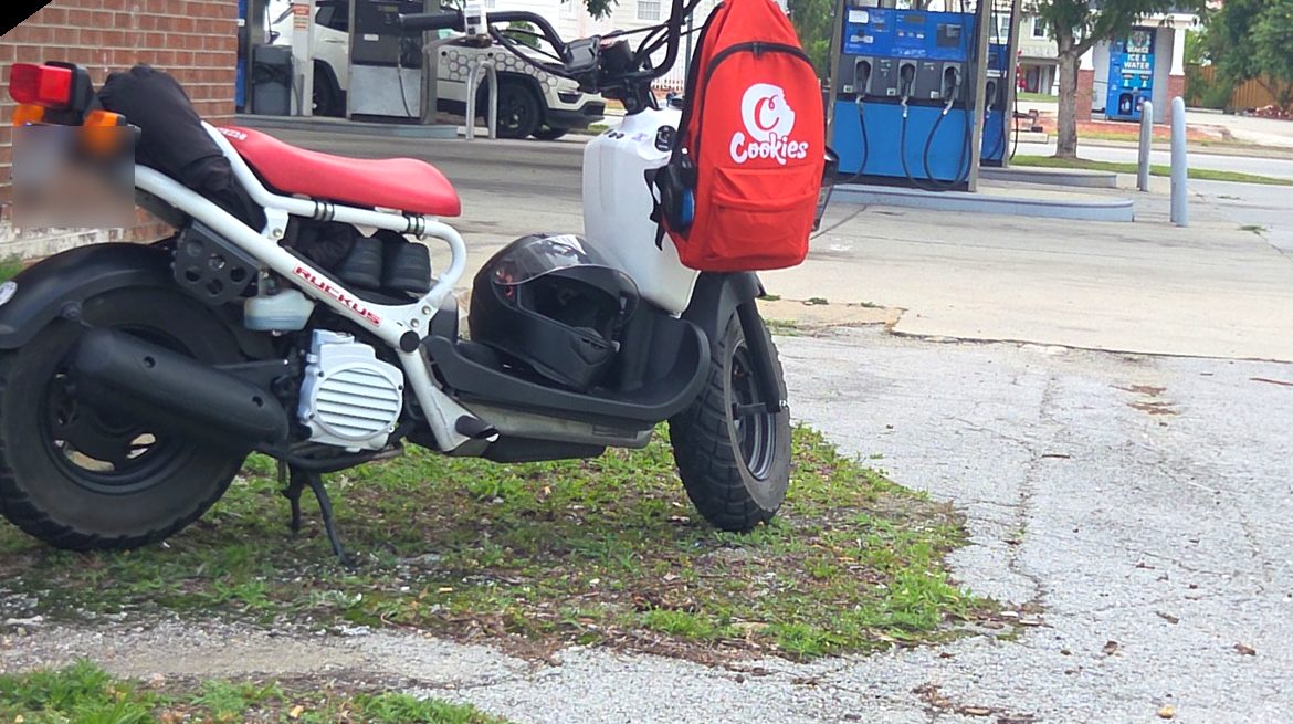 Honda Ruckus scooter for rent — Red Sea Rentals New Bern NC